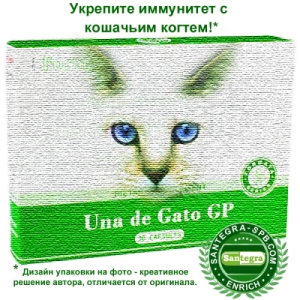  Una de Gato GP
